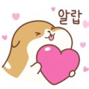 엠에스카오디오 이미지