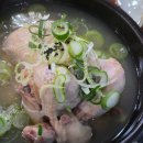 설악면 | 가평 가족여행 맛집 설악면 백숙 식당 진솔산양산삼삼계탕 후기