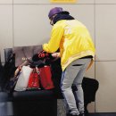 노랑병아리 이미지