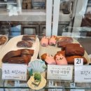 내복곰 이미지
