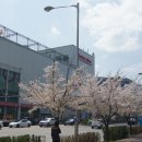 호매실로얄공인중개사사무소 이미지