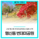 번데미공원 이미지
