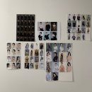 우정 동물병원 | [버드스튜디오] 죽전역사진관추천, 포즈뚝딱이의 대구프로필사진 성공후기