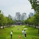 황룡 파크골프장 A 이미지