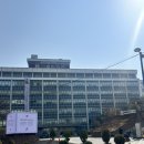 에쎄레젤라또 | 명동성당 맛집 세븐티포 명동성당본점 파스타 에쎄레젤라또