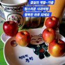 행복한 하루 이미지