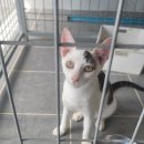 군서면보건지소 이미지