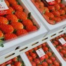 정병화 농장 이미지