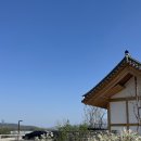 대추나무한의원 | 난임전문 대추밭백한의원 진료 후기 다낭성 한약 부작용 생리지연