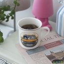 네코모리 이미지