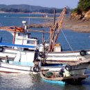 효자도1 이미지