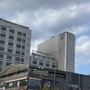 씨엠파크호텔 주식회사 | [안동] 혼자 머무르기 좋은 숙소 씨엠파크 후기!