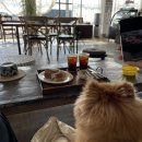 플레이스엉물 이미지