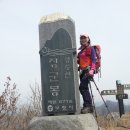 미션2 충남 보령시 문봉산 성주산 진달래꽃 산행 20140403 중급