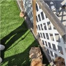 더블루네스 이미지