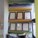 석사 경희대 효 태권도 이미지