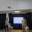 경산의 삽살개육종연구소 | 경북 청도 가볼만한곳 여행 1박 2일 경산 포함