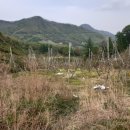 노은면사무소 이미지