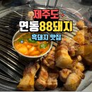 카카오 이미지