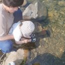 강물놀이터 이미지