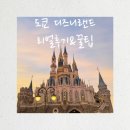 주식회사벨 | 도쿄 디즈니랜드 4인가족 다녀온 후기 리얼 꿀팁 추천 어트랙션 핵심요약 총정리