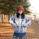 N129 이미지