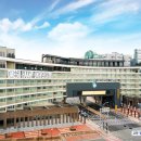 대구한의대학교 이미지