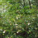 김길순농장 이미지