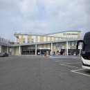 장단콩두부집 | 임진각맛집 추천 임진각두부누리 장단콩두부버섯전골 후기