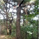 하신2리 이미지