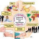 건강식품연구원 이미지