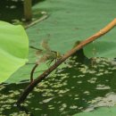 시흥-시흥-시흥-044 이미지