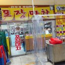 보리네포차 이미지