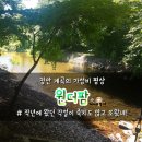 정안 계곡 평상 추천 공주 원더팜 솔직후기