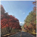 해바라기펜션 이미지