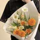 수니플레르 이미지