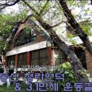 부산화교소학교 이미지