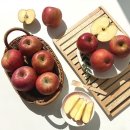 북안동농협 이미지