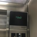 주식회사뉴빌드 | 한여름 도로 위 반짝이는 해파리가 될 거야