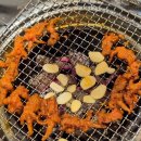 본숯불꼼장어시대 | [세종 고운동 맛집] 황금우주 산삼숯불꼼장어 / 딱 맛있게 매운 닭발에 된장술국에 숙취제로 정약용...