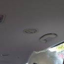 행복펫택시 이미지