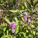 무염농장 이미지