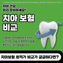 알기쉬운 건강보험 임플란트 | 치아보험 비교 치아보험비교사이트 활용 방법