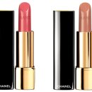 까멜리아 이미지