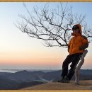 백일홍동산 이미지