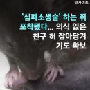 둔산중로58번길 이미지