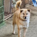 곰탱이 Daum카페
