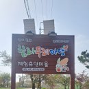 함라두레마당 이미지