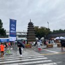 동아2체육관 | 2025 경주동아마라톤 후기(25/10/18)