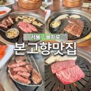 세진농장 | 종로 본고향맛집 한우 살치살 갈비살 내돈내산 후기 을지로4가 소고기 맛집 추천